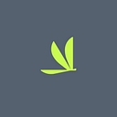 SOAR logo